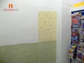 kinderparadies 13