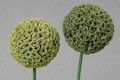 4400702000 - kunstblume